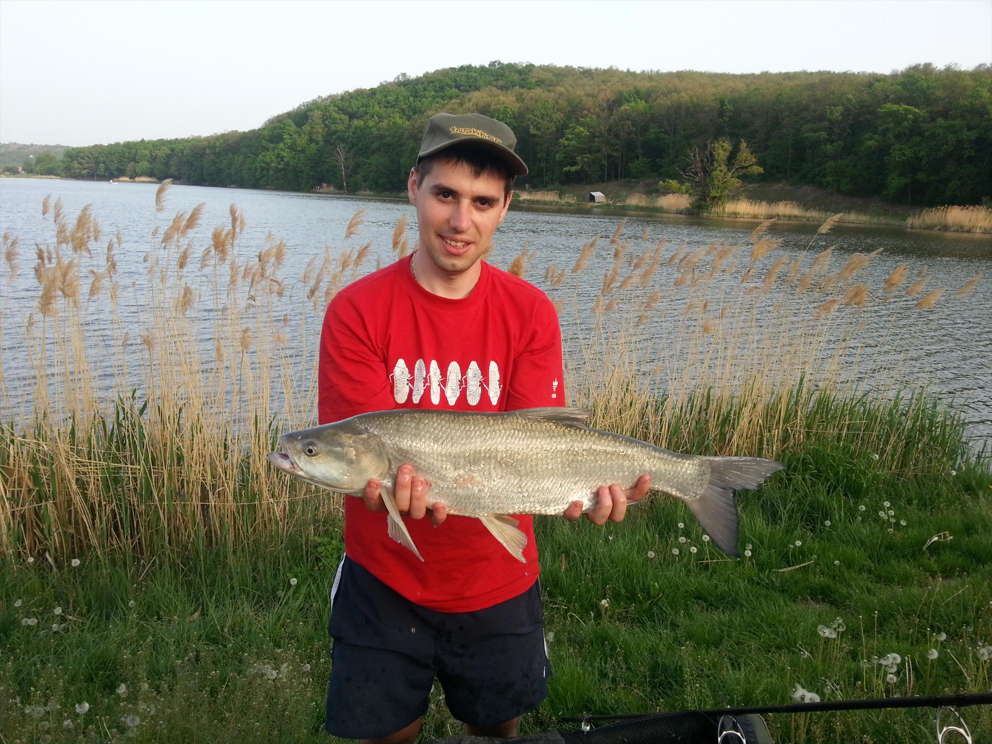 Harsany 1 - 5 mai. - 20130501183353.jpg